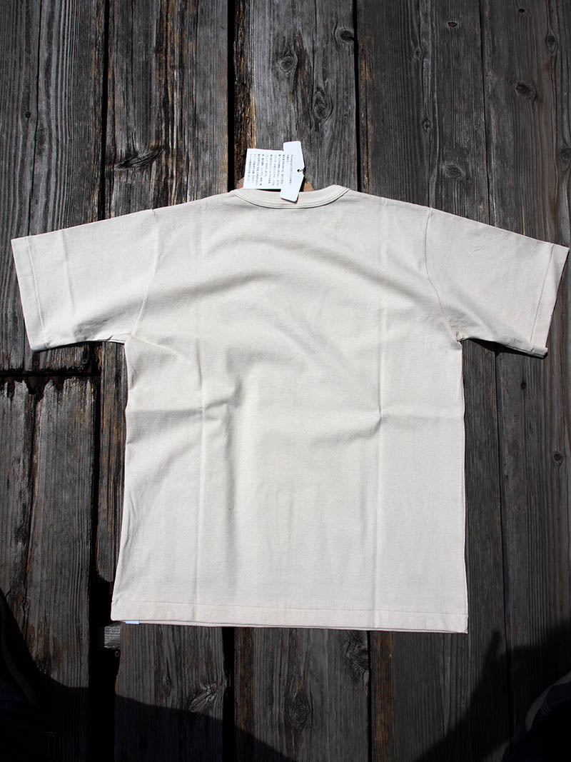 WILD CAT T