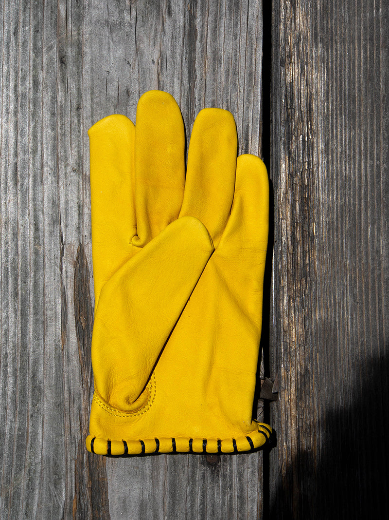 SIGNAL GLOVE -Checker-